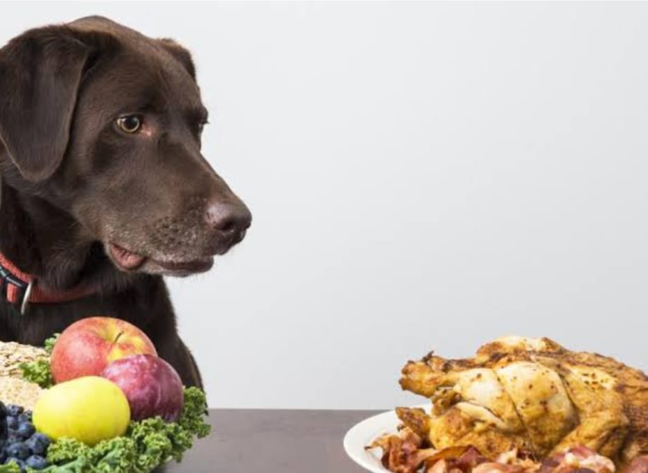 WhatsApp Image 2025-08-29 at 16.24.37.jpeg